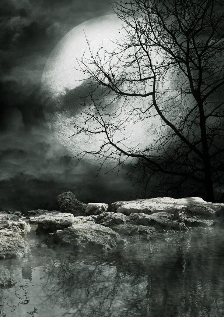 Фото взято из открытого источника.