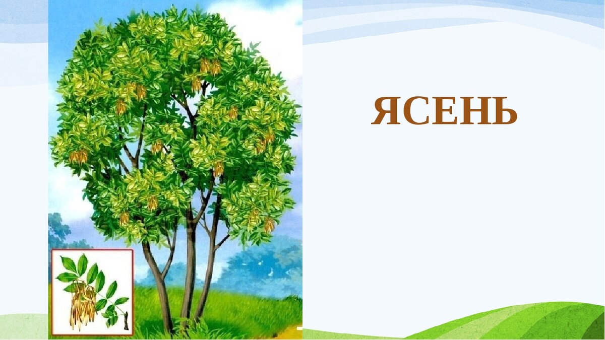 Древний гороскоп восточных славян, актуальный и в наши дни. Узнай кто же ты?