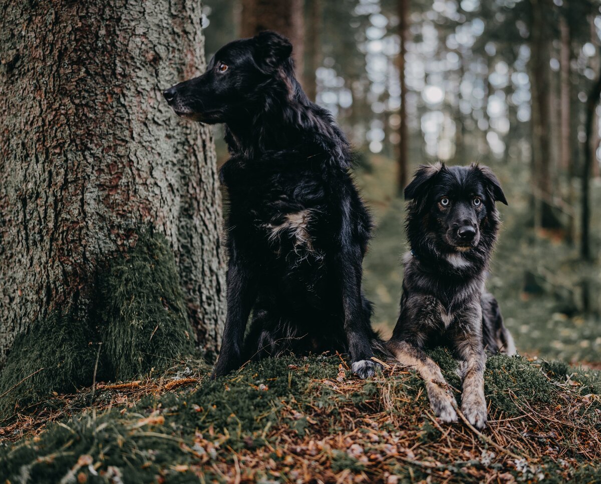 Фото by Янко Ферлича на Unsplash 

