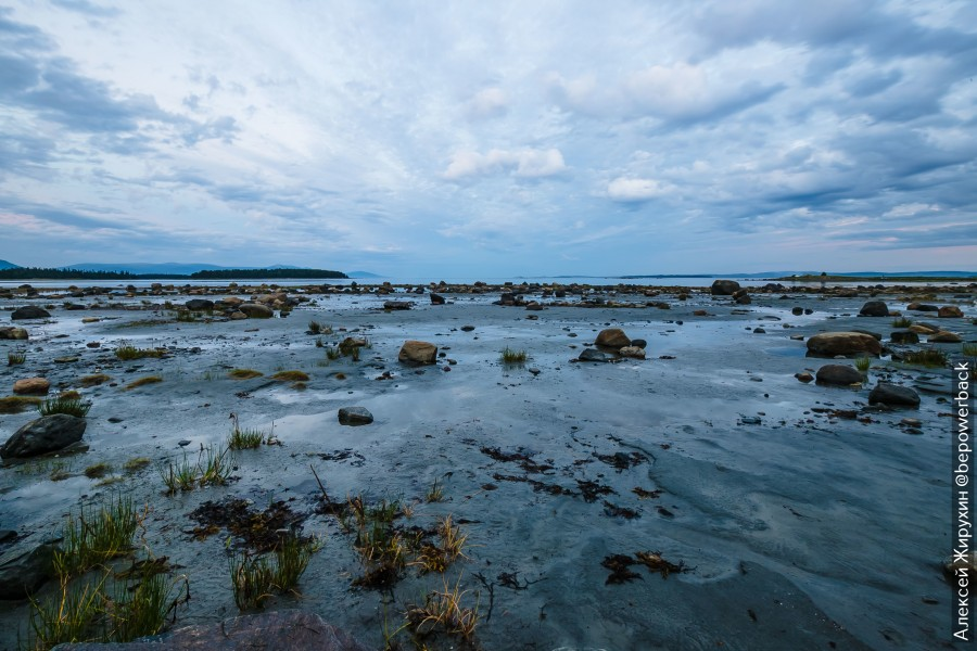 Белое море все. Онега зима белое море. Белое море Архангельск зима. Белое море Селенга. Ухтинская губа белое море.