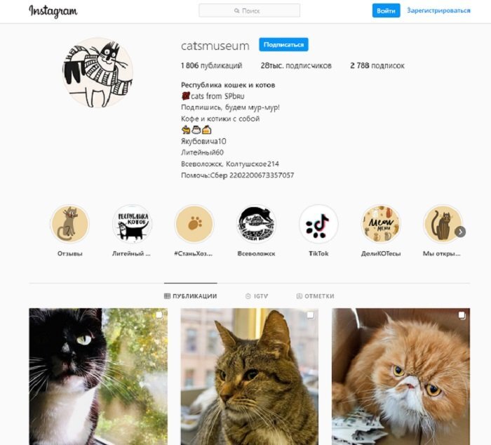 Скрин Instagram «Республики кошек»