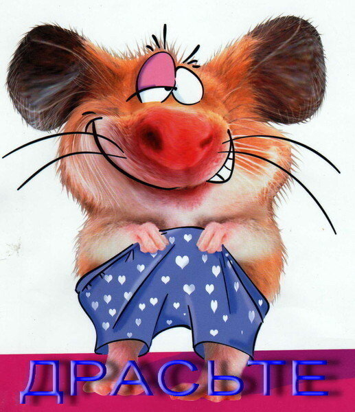 Фото из свободного доступа