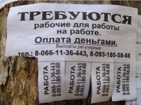 Эх, пошёл бы устраиваться, да боюсь, в очереди долго стоять придётся!