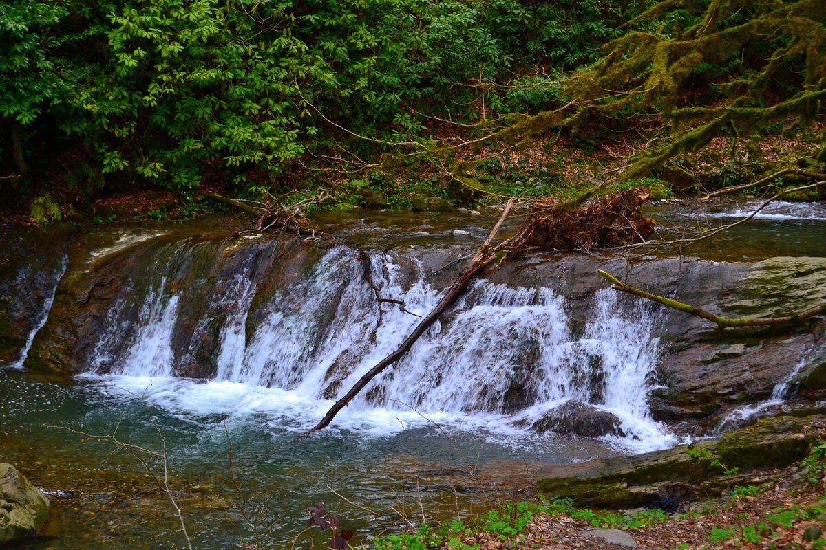 Ореховый водопад в Сочи