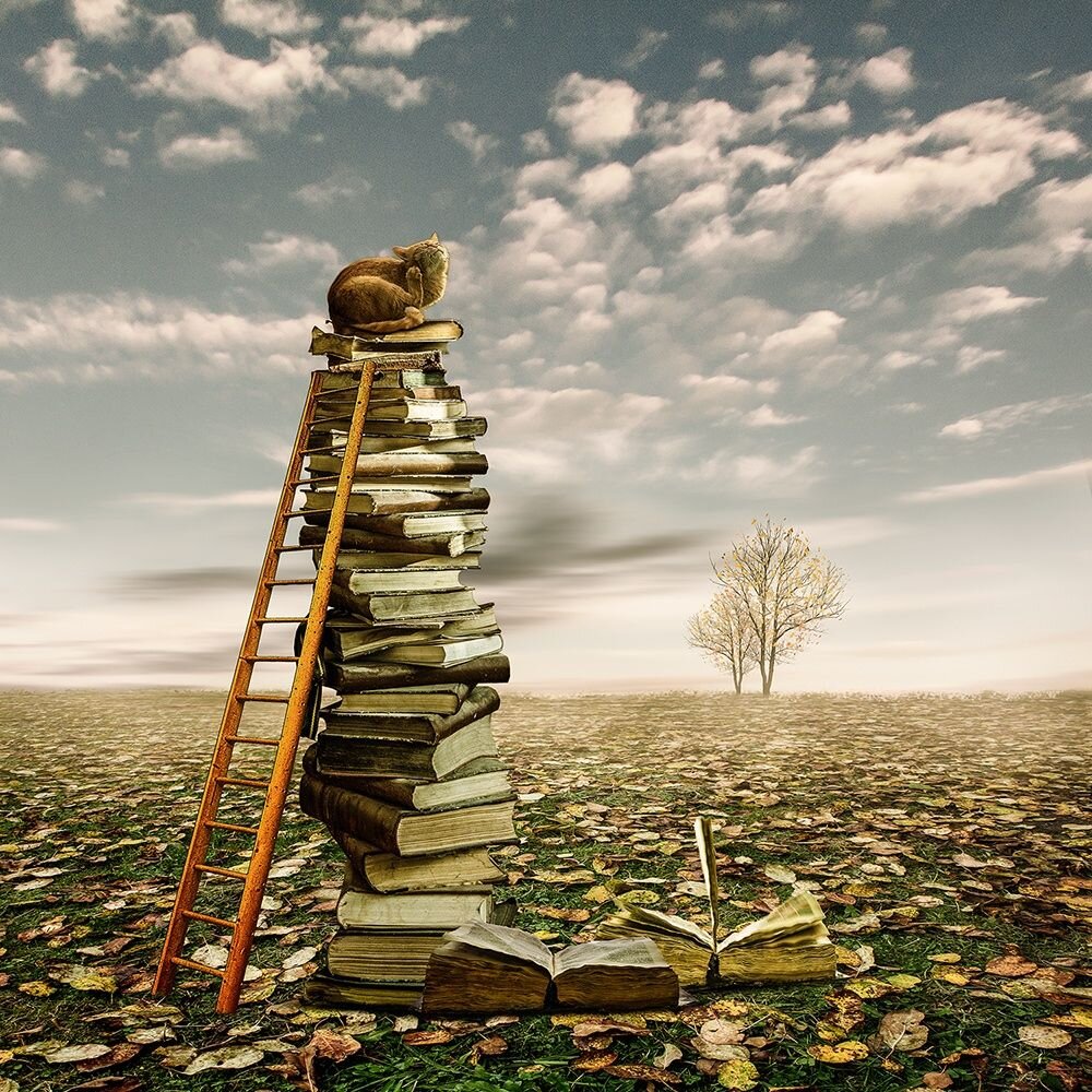 Книжный сюр Кристин Эллджер. Сюрреализм. Лестница жизни. Лестница сюрреализм