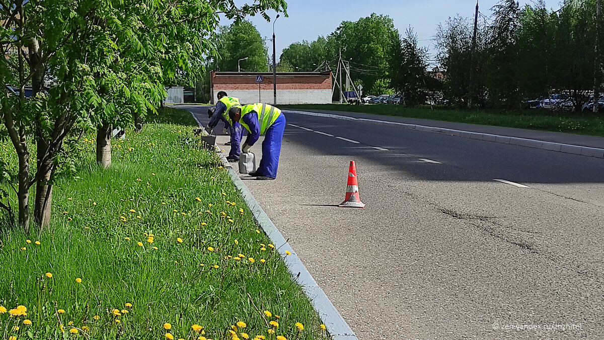 Домодедово. Идет покраска бордюров