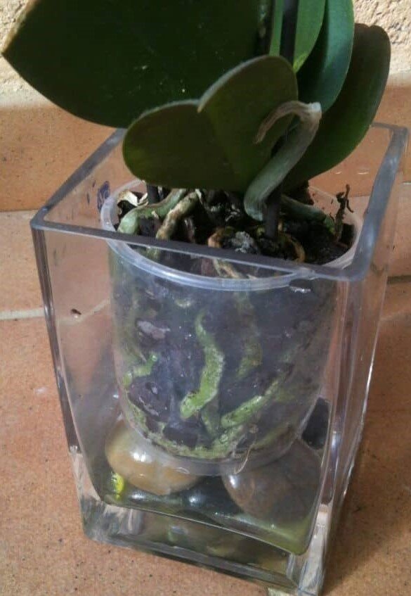 Идея в действии. Изображение из сети Интернет - в свободном доступе, - и носит иллюстративный характер. 