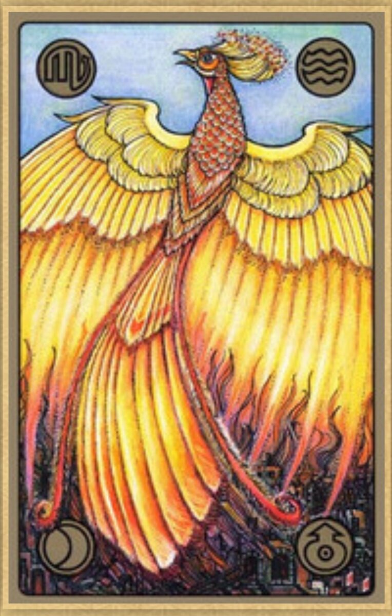 Оракул дыхание ночи галерея карт. Симболон феникс. Карточка феникс. Йога возможностей наследие феникса карта. Карта феникс.