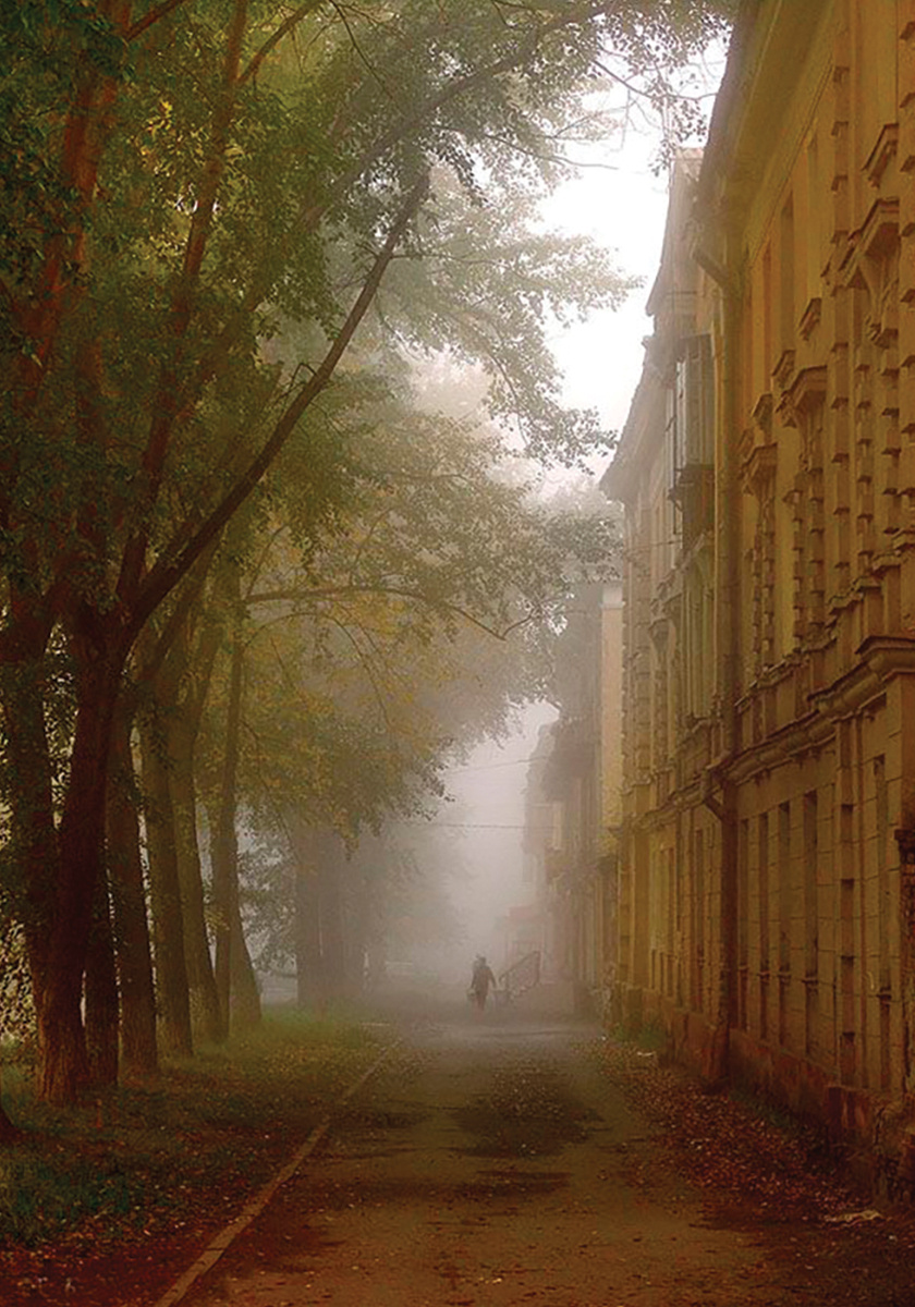 Фото из интернета.