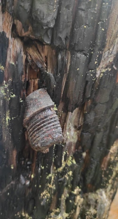 Свидетельства войны в лесах Карелии. Источник: ВК-группа "Военно-исторический центр СЗФО"