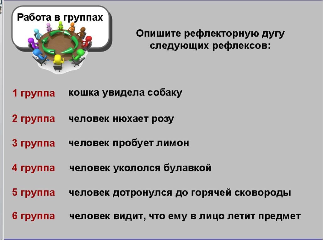 Урок биологии в 8 классе — Регуляция процессов жизнедеятельности. Я бы  убрала этот урок в соответствующую тему, но раз надо сего | Елена Сова: пуд  соли в школе | Дзен