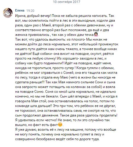 Сообщение хозяйки Маи после окончания нашей работы. Соня - дворняжка ровесница Маи, с которой не занимались. 