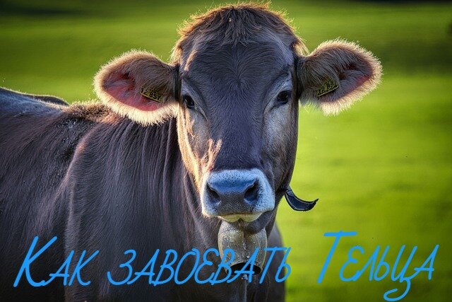 Изображение Albrecht Fietz с сайта Pixabay 