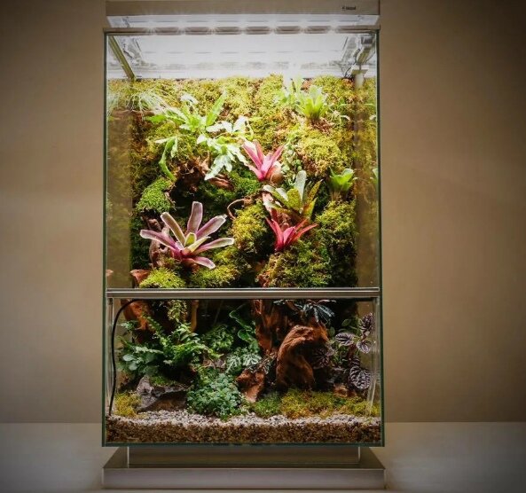 источник фото vk