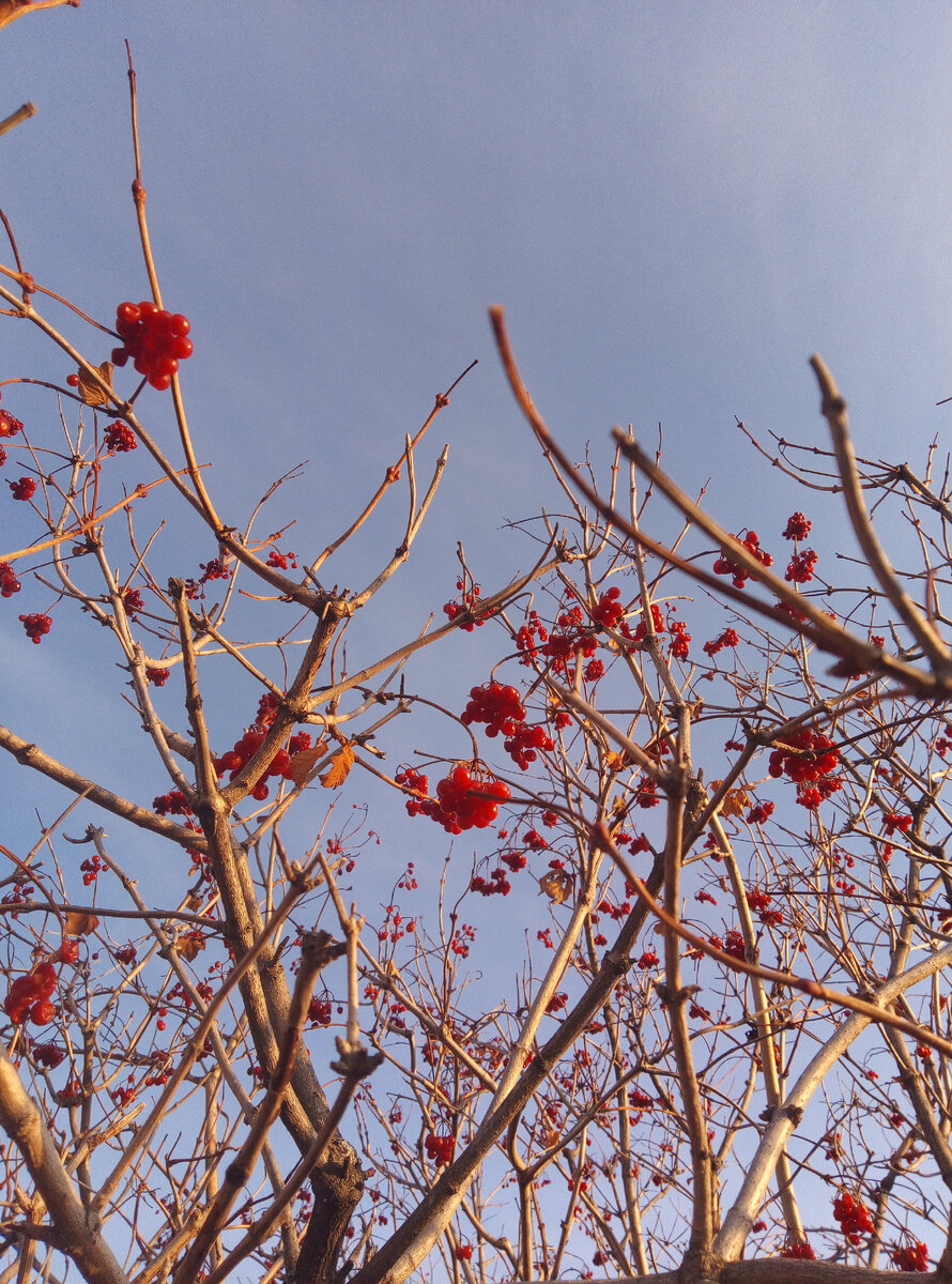 Чистого вам неба. Фото автора