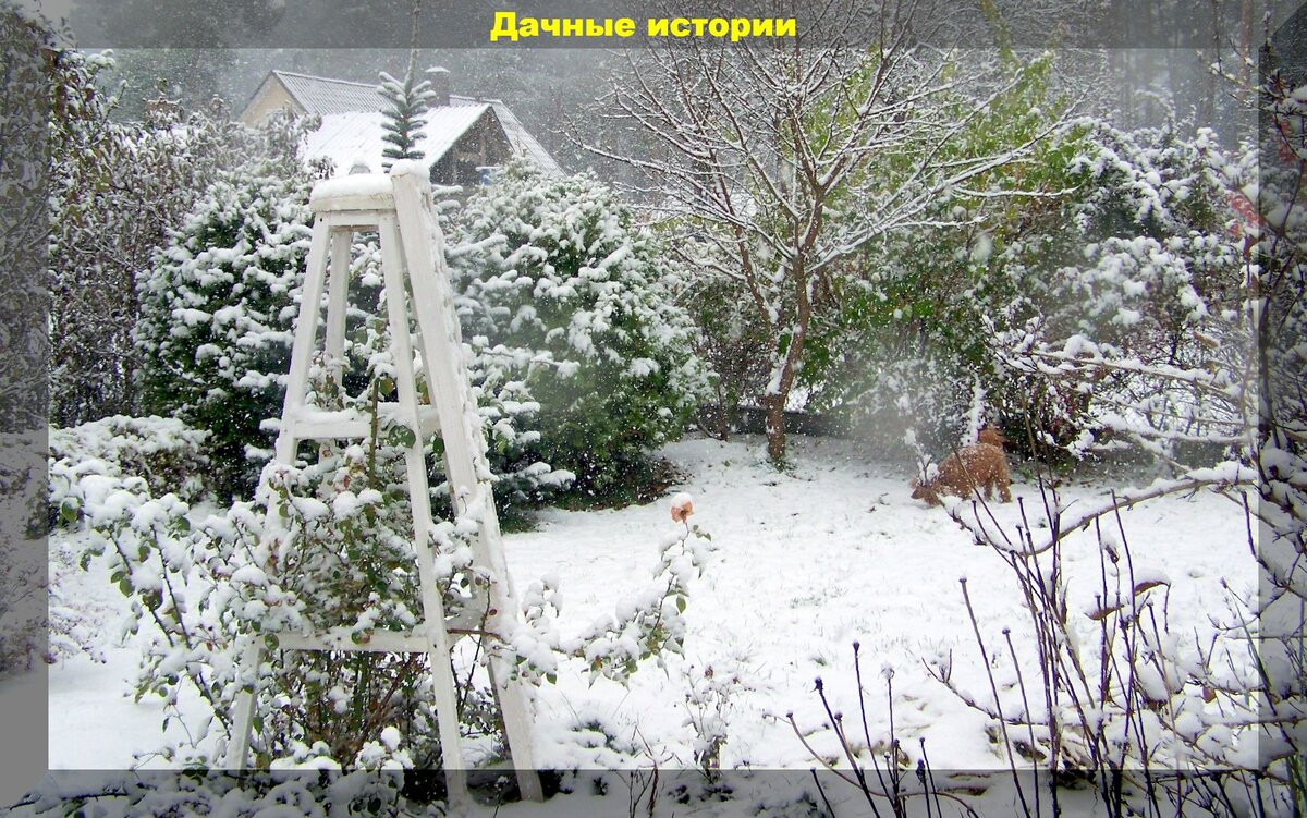 https://vk.com/photo-159774511_457249928