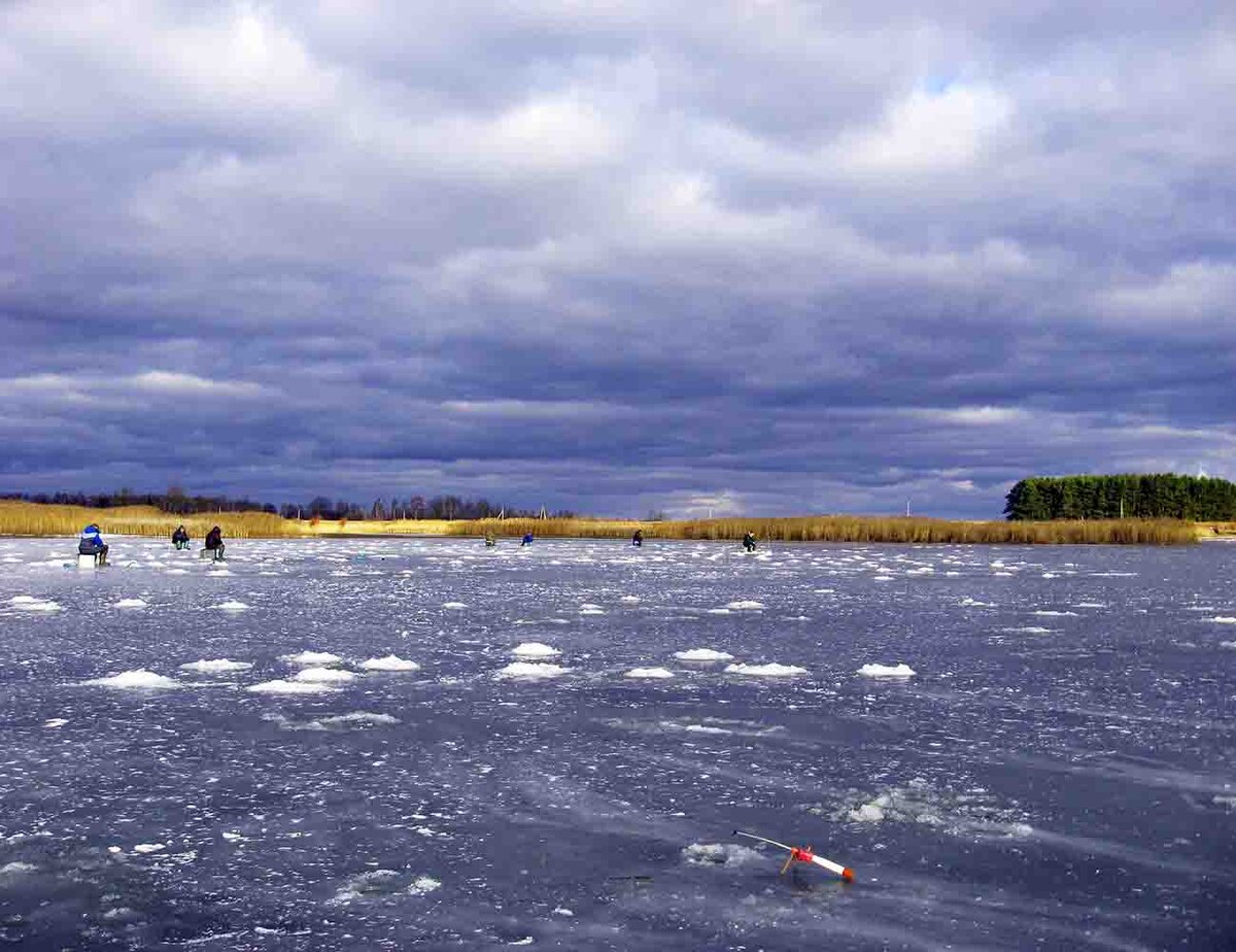 Секреты успешной зимней рыбалки на карася на озере - tipsandtricks.ru