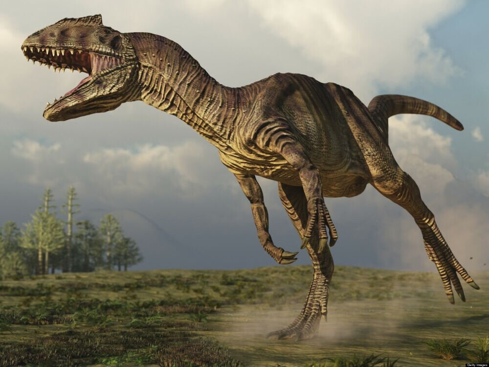 Аллозавр. Фото и иллюстрации взяты из открытых источников и принадлежат их авторам 