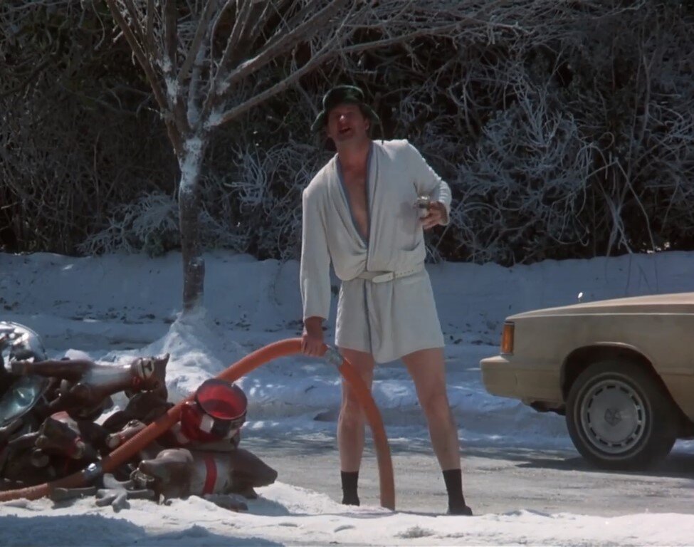 кадр из фильма "Рождественские каникулы" 1989г.