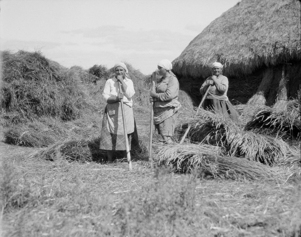 Жизни исторические. Сенокос в СССР. Яёй 1926. Картинку которую создал в 1926 году.