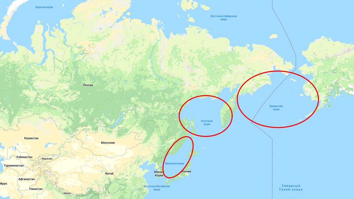 Береговая линия Российской Федерации граничит с 13 морями, а с учётом Шантарского и Печорского морей (они формально морями не считаются), то и вовсе 15.