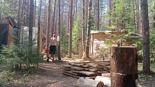 Вепсский лес - природный парк в Ленинградской области Видео