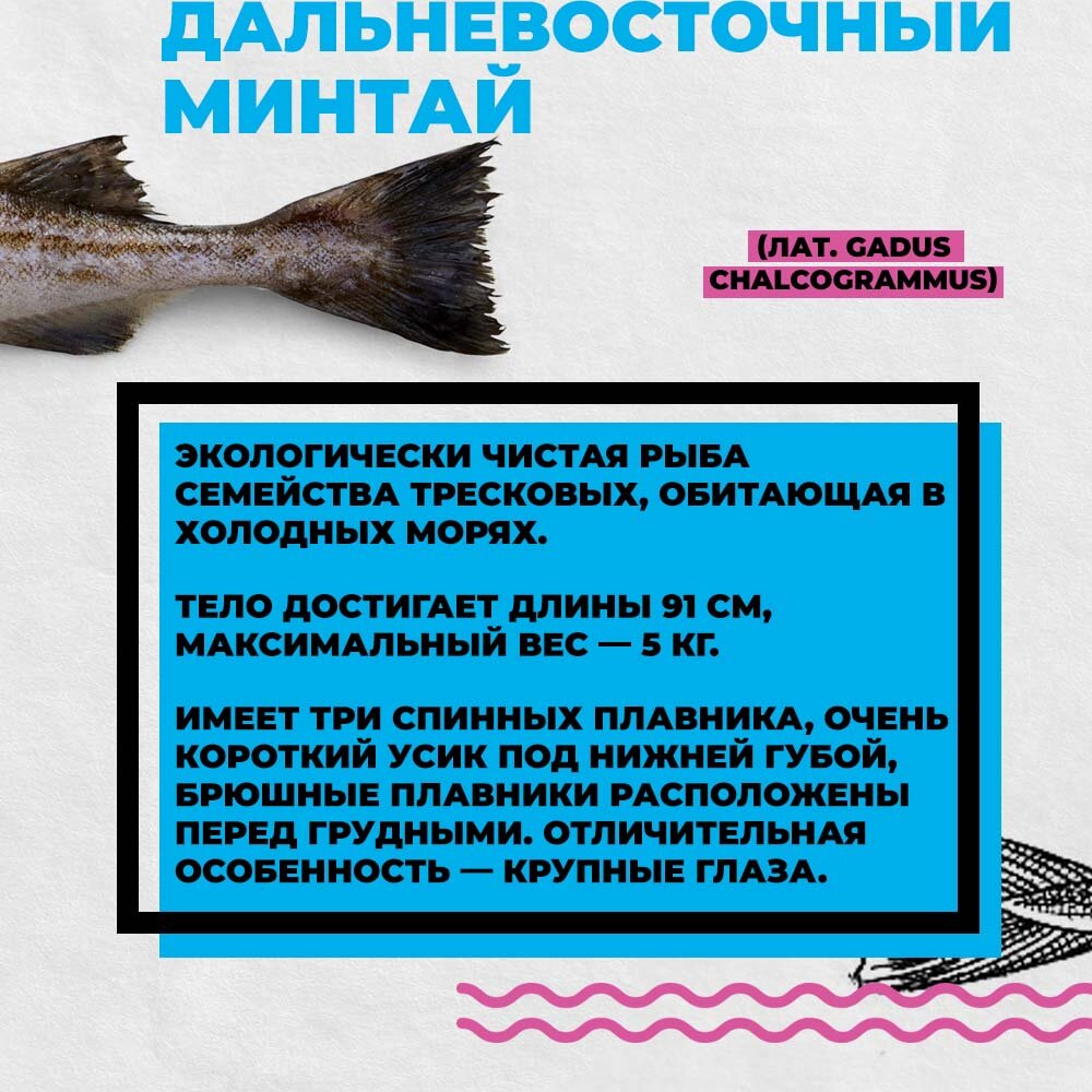 Минтай польза и вред для здоровья. Минтай Тихоокеанский Дальневосточный. Минтай. Минтай вид рыбы. Минтай вес.