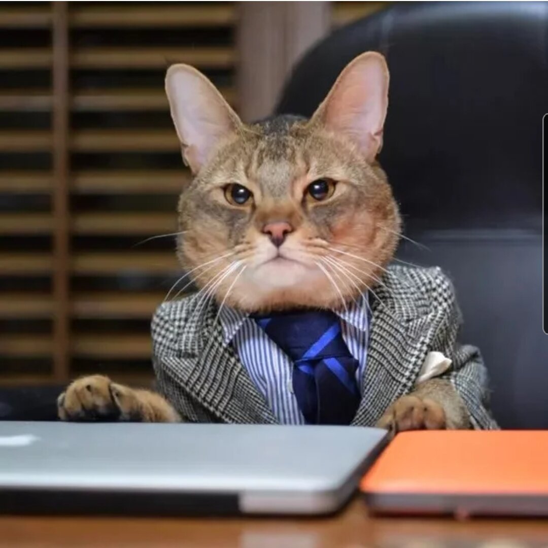 Картинка из открытых источников 