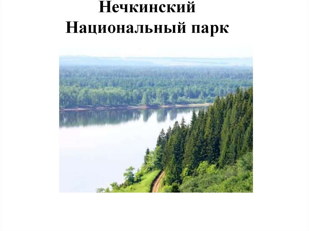 Нечкинский национальный парк карта