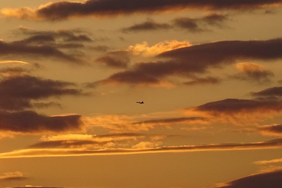     В Липецке отпразднуют День ВВС Юлия КЛЮЕВА