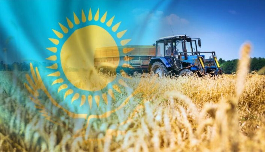 Фото: agropraktika.com 