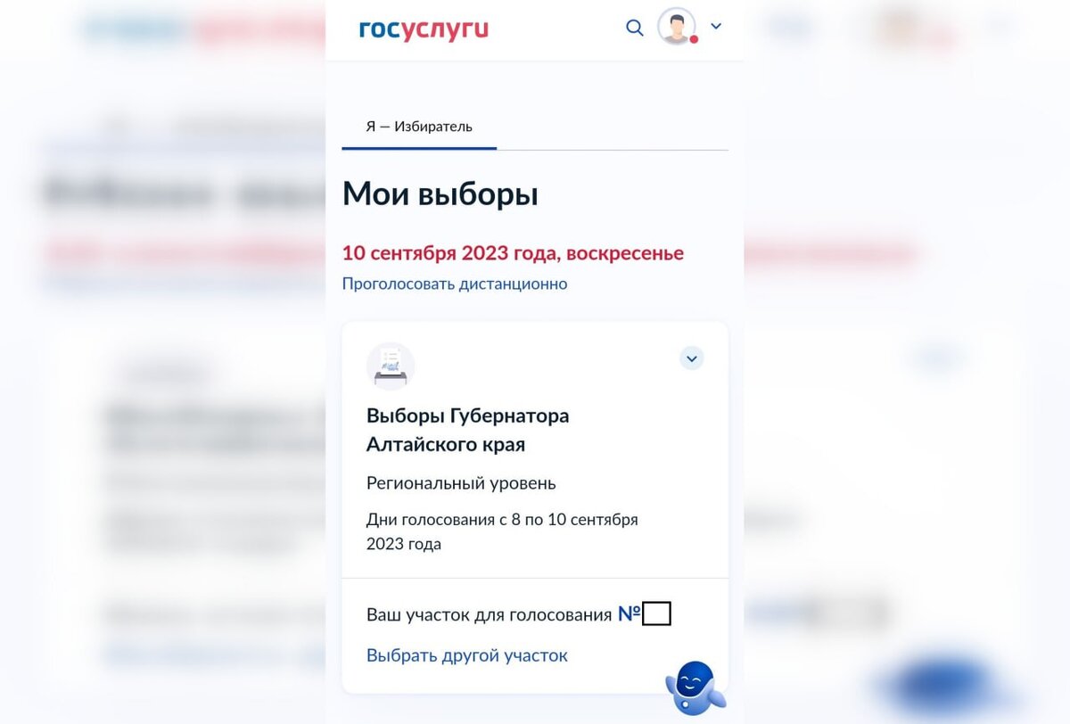 Как проголосовать на госуслугах выборы губернатора. Госуслуги. Уведомления в госуслугах. Госпочта на портале госуслуг. Письмо на госуслугах.