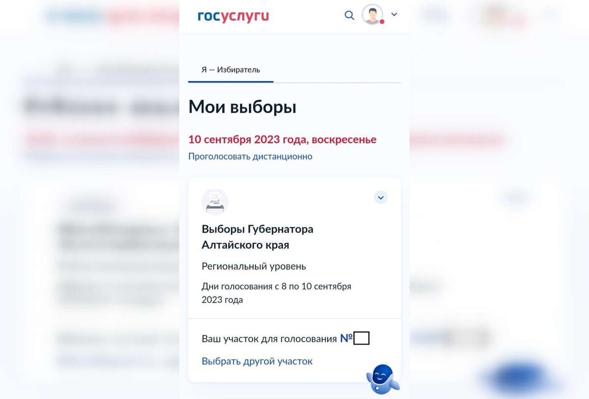 Мое голосование госуслуги мой выбор. Госуслуги голосование. Госуслуги подача на развод. Скрин госуслуг. Как проголосовать дистанционно на госуслугах.