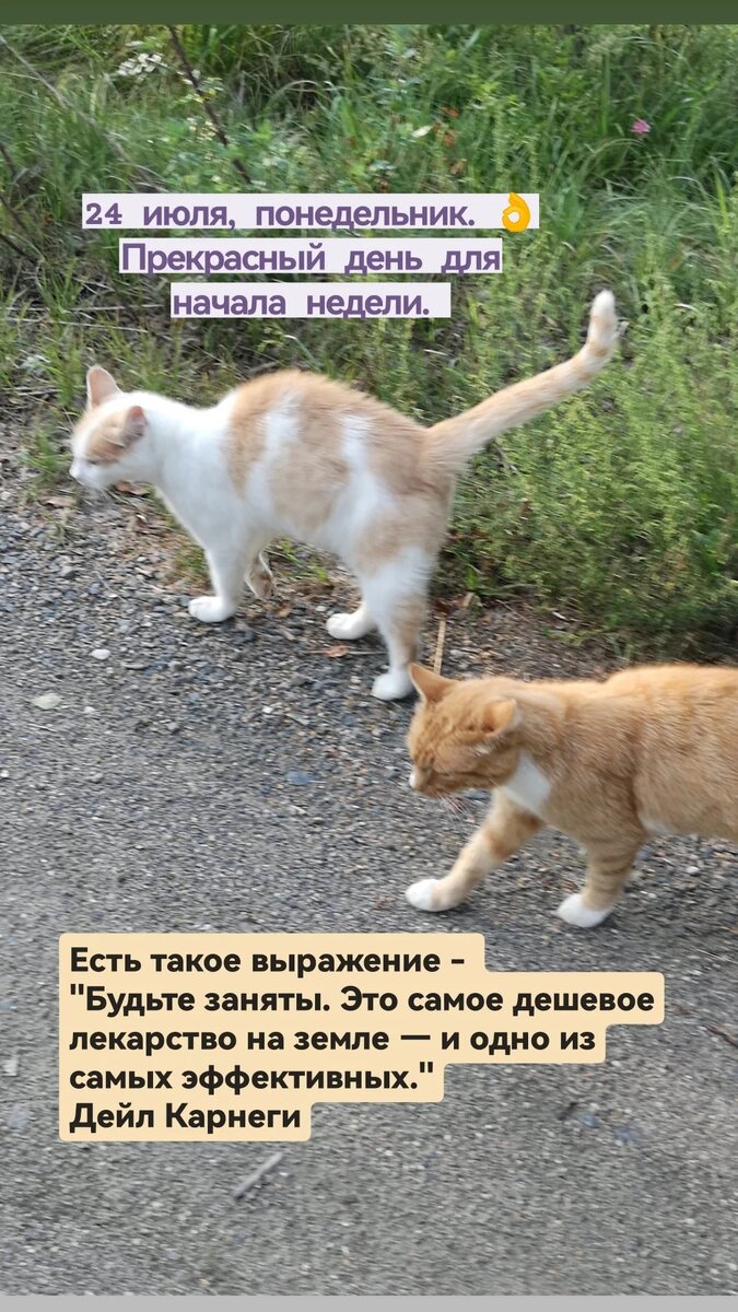 Работу работать❗
