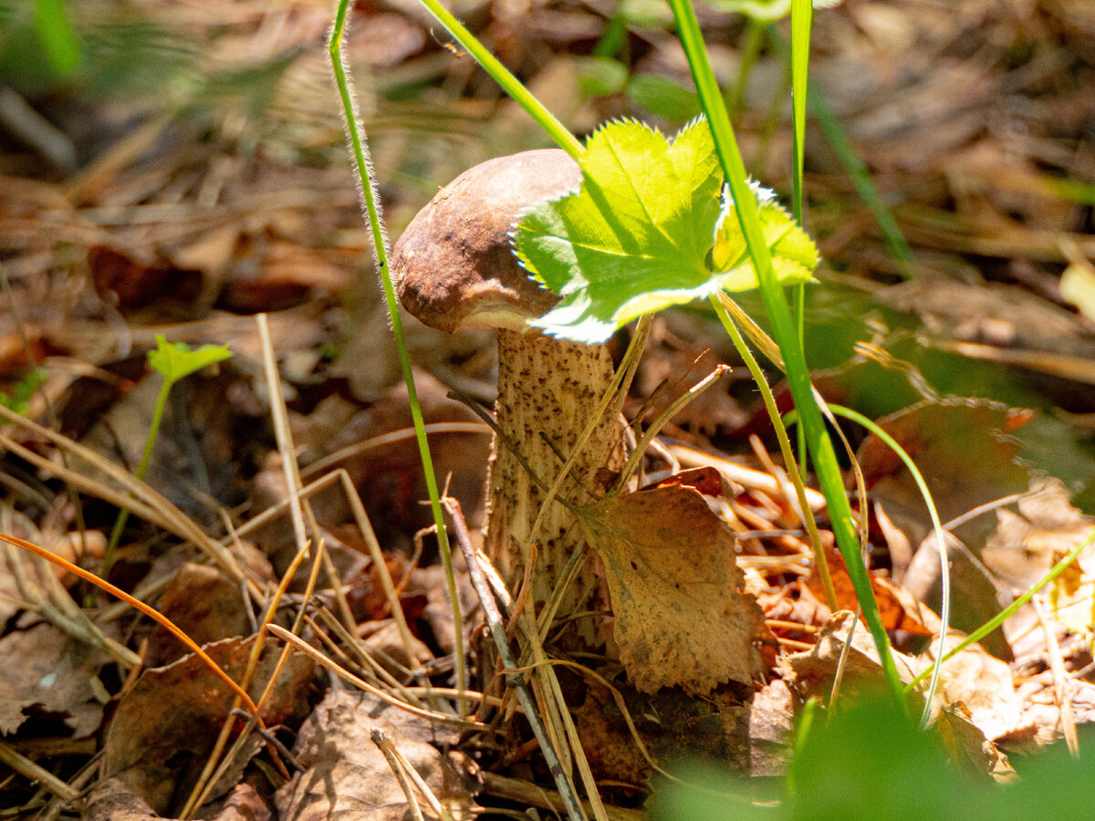 фото принадлежит автору