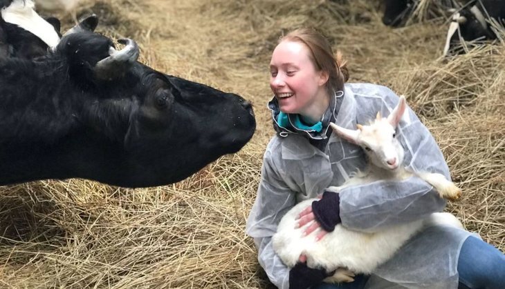    Ветеринары стали самыми востребованными специалистами в АПК Подмосковья