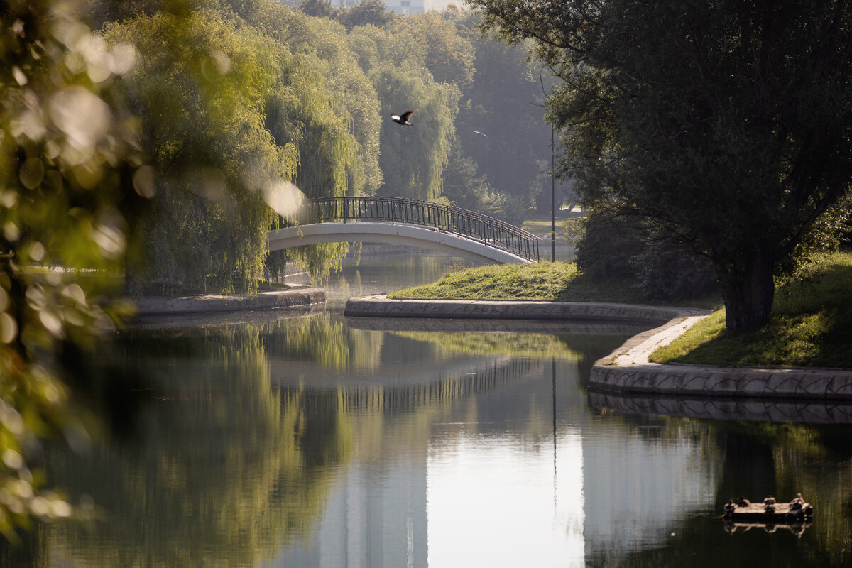 Парк Дружбы, 2021 год. На этом месте был обычный карьерный пруд. Фото: архив «Про мой район»