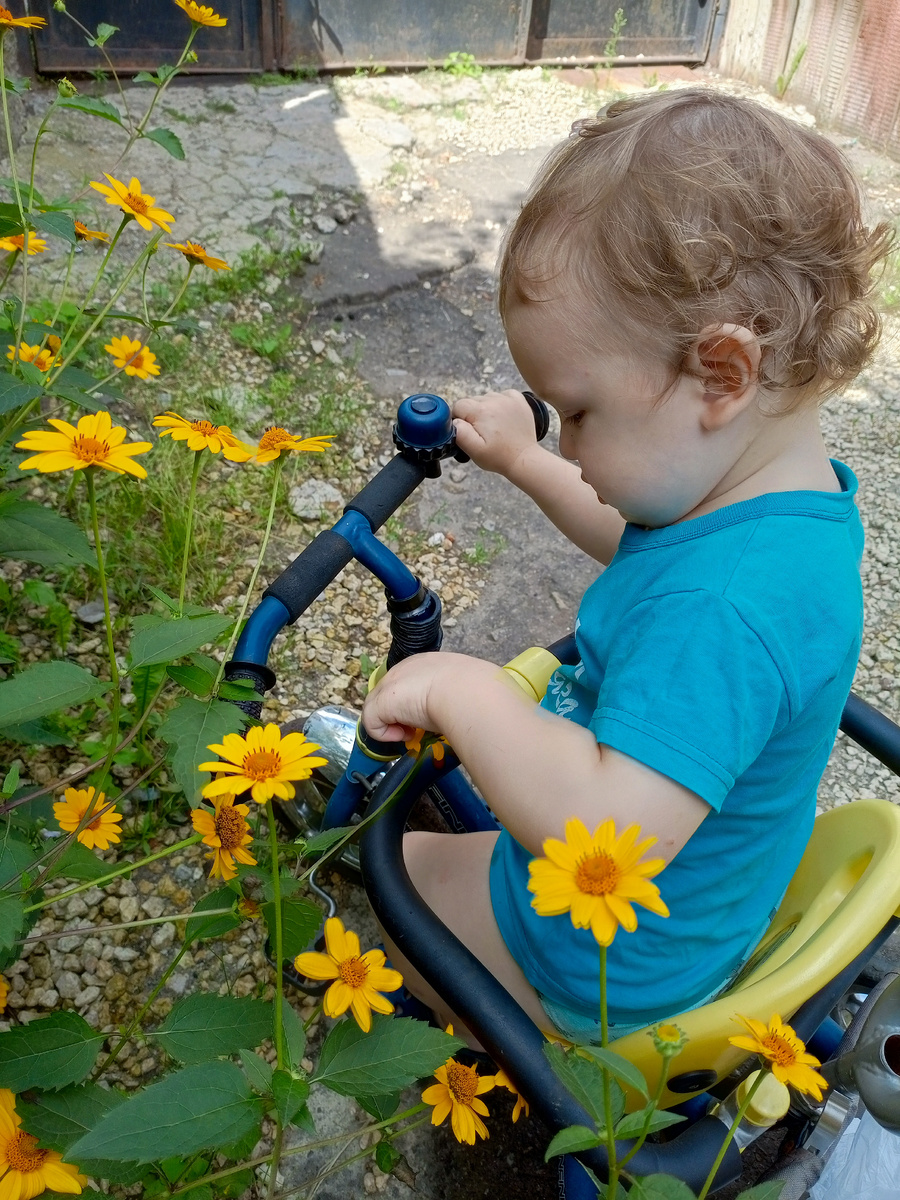 Фотография сделана автором канала
