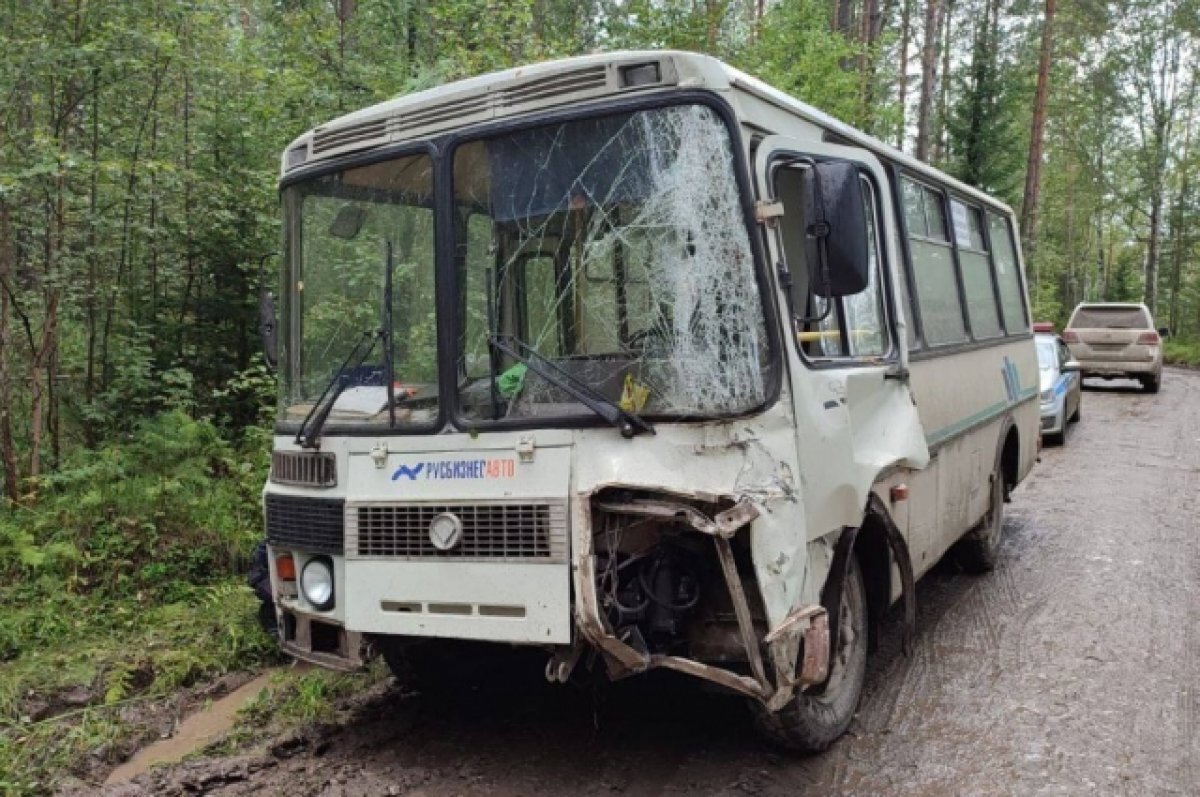 Ехали в «Город Солнца» Виссариона. Что известно о ДТП с автобусом в Сибири?  | АиФ–Красноярск | Дзен