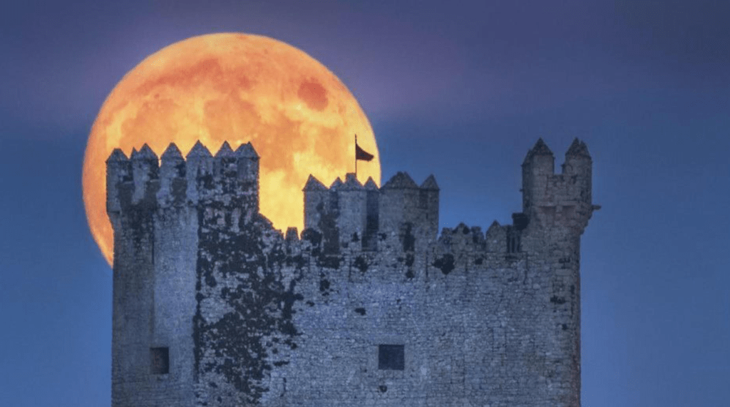 Источник: https://ru.pinterest.com/pin/389631805245898629/