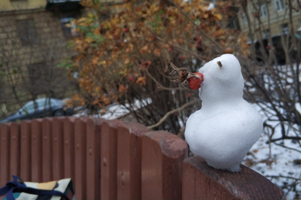    Понедельник в Тверской области будет последним тёплым и солнечным днем
