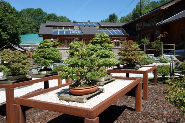 Источник: https://forum.awd.ru/viewtopic.php?f=944&t=321175#p8021333