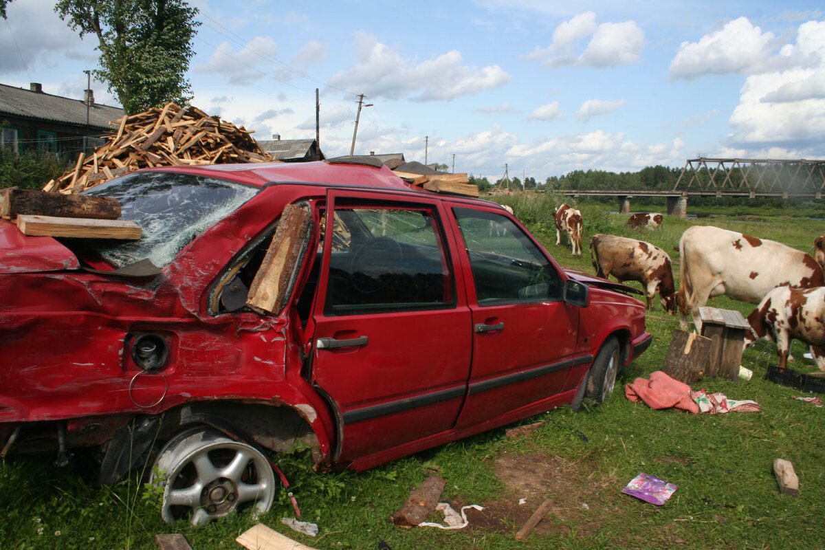 Вся жизнь в деревне в одном фото!
