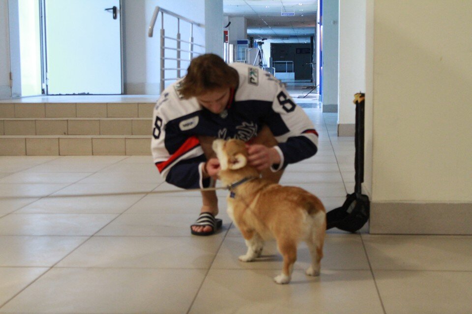    Проходя с тренировки, хоккеисты останавливаются, чтобы погладить песика. Мария СОРОКИНА