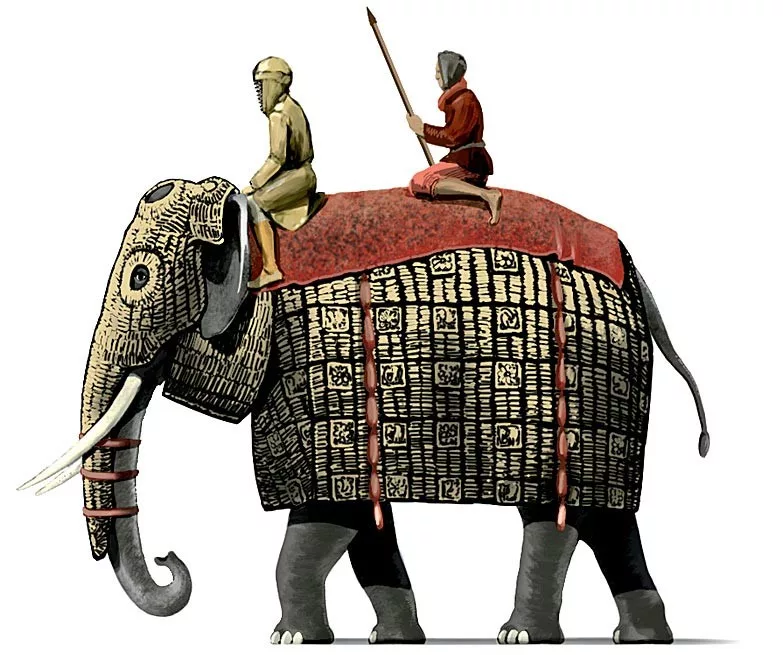 Боевой слон как живой танк: сколько человек входило в экипаж? | дневник  ролевика | Дзен