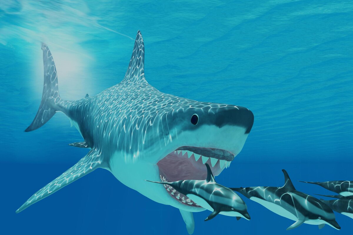 Источник: shutterstock.com