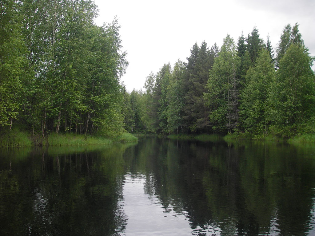 Д кулой. Кулой (приток ваги). Кулой (река, впадает в белое море). Река Вага Вологодская область. Река Кулой.