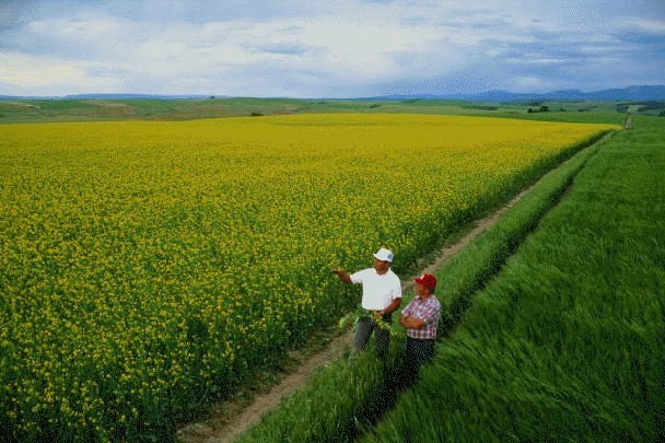 Фотография: nivarostov.ru