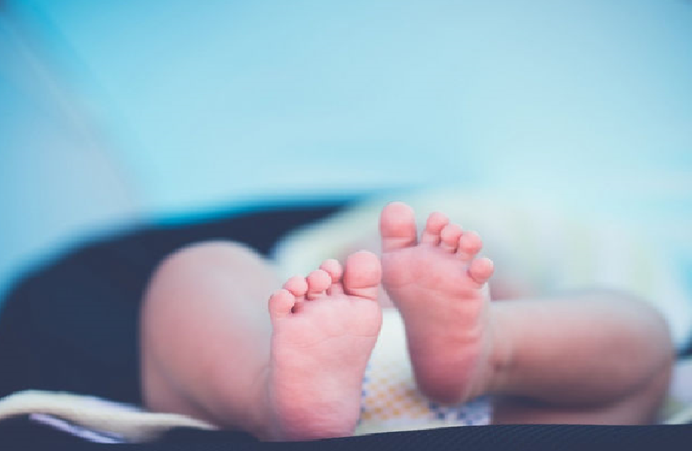 Источник Яндекс картинки