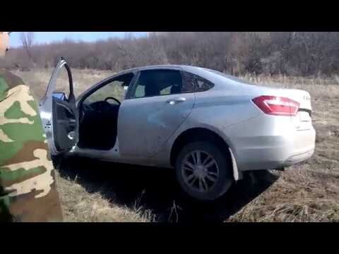 Фото с яндекс картинок